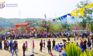 Check-in không gian đường hoa tại Quảng La