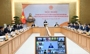 Theo dõi sát tình hình, kịp thời có các đối sách phù hợp để phát triển ngoại giao kinh tế mạnh mẽ