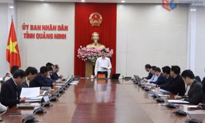UBND tỉnh nghe báo cáo phương án thí điểm thành lập Cụm Công nghiệp nuôi trồng thủy sản trên biển