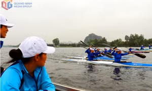 Gỡ "nút thắt" cho thể thao thành tích cao 