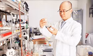 Nuôi cấy đông trùng hạ thảo trên côn trùng
