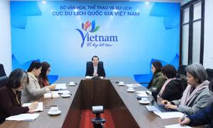 Đánh giá tình hình ô nhiễm chất thải nhựa trong du lịch