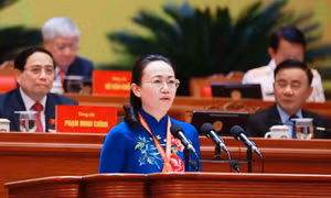 “Bảo vệ môi trường, thích ứng với biến đổi khí hậu - Trụ cột chiến lược trong phát triển bền vững của kỷ nguyên mới”