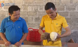Đảng viên đi trước, làm trước...