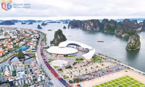 Để mở hướng du lịch thể thao trên vịnh 