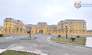 Niềm vui trường mới