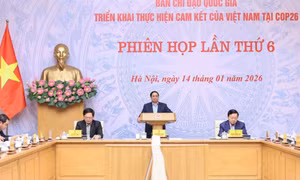 Thủ tướng: Phát thải ròng bằng "0" vào năm 2050 là sứ mệnh và cam kết hành động của Việt Nam
