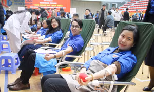 Thu về 214 đơn vị máu tại Ngày Chủ nhật đỏ năm 2026