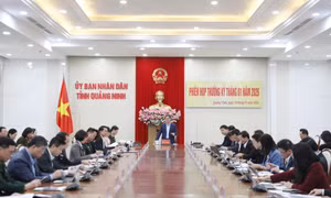 Chuẩn bị chu đáo các điều kiện để nhân dân đón Tết Nguyên Đán