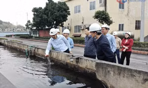 Nâng cao trách nhiệm trong công tác bảo vệ môi trường