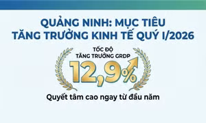 12,9% - là tốc độ tăng trưởng kinh tế mà tỉnh Quảng Ninh đặt mục tiêu cho quý I/2026