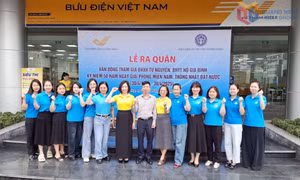 Gia tăng hơn nữa số người tham gia BHXH, BHYT