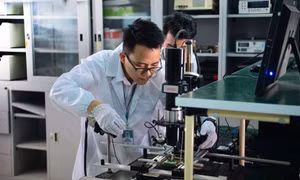 Ban hành tiêu chí nhân lực công nghệ số chất lượng cao