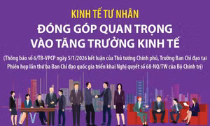 Kinh tế tư nhân đóng góp quan trọng vào tăng trưởng kinh tế
