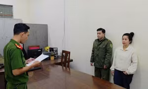 Công an Đà Nẵng triệt phá đường dây buôn lậu tôm hùm giống qua đường hàng không trị giá gần 6,8 tỷ đồng