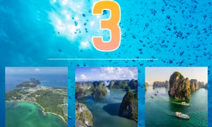 3 - là số khu khu bảo tồn biển tại Quảng Ninh