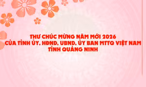 Thư chúc mừng năm mới 2026 của Tỉnh ủy, HĐND, UBND, Ủy ban MTTQ Việt Nam tỉnh Quảng Ninh