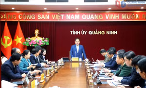 Khởi công dự án đường sắt tốc độ cao Hà Nội - Quảng Ninh trong tháng 3/2026