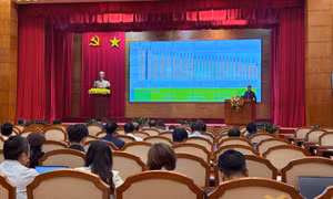 Bứt phá trên bảng xếp hạng PII