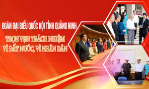 Đoàn ĐBQH tỉnh Quảng Ninh: Trọn vẹn trách nhiệm vì đất nước, vì Nhân dân