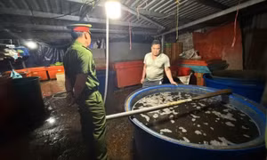 Lời khai rùng mình về 'công thức' ngâm 3.000 tấn ốc vào 500 tấn hóa chất từ chợ Kim Biên