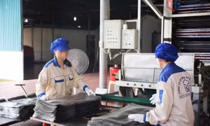 Hướng tới nền nông nghiệp hiện đại dựa trên công nghệ