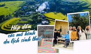 Hấp dẫn các mô hình du lịch sinh thái