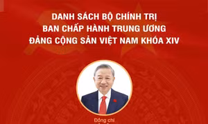 Bộ Chính trị Ban Chấp hành Trung ương Đảng Cộng sản Việt Nam khóa XIV