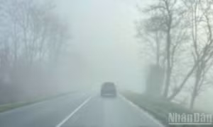 Thời tiết ngày 30/1: Bắc Bộ sáng và đêm trời rét, sáng sớm có sương mù