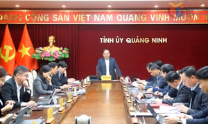 Giao ban Thường trực Tỉnh ủy
