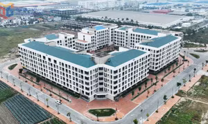 Phường Đông Mai: Dấu ấn phát triển toàn diện