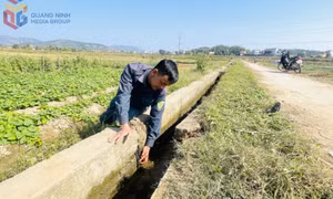 Sớm nâng cấp kênh dẫn nước đảm bảo sản xuất cho người dân ở phường Hiệp Hòa