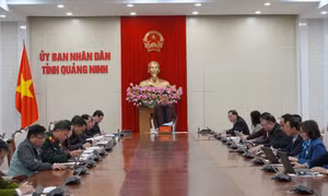UBND tỉnh họp tháo gỡ vướng mắc, đảm bảo tiến độ thi hành án vụ Vạn Thịnh Phát