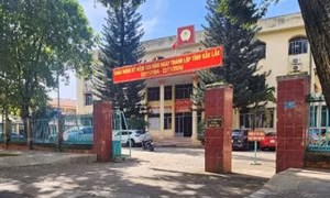 Săn bắt động vật quý hiếm, hai đối tượng lãnh án hơn 6 năm tù