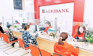 Sẵn sàng đón dòng kiều hối dịp Tết Nguyên đán