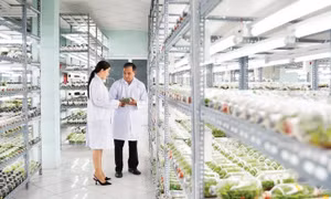 Tăng năng suất lao động, phát huy nguồn lực của nền kinh tế