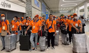 Sửa một số quy định về đưa người lao động đi làm việc ở nước ngoài theo hợp đồng