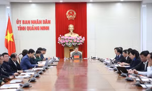 Chủ tịch UBND tỉnh yêu cầu các tổ công tác triển khai nhiệm vụ quyết liệt, hiệu quả trong năm 2026