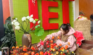 Rực rỡ không gian ngày Tết