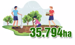 35.794ha - là diện tích trồng rừng tập trung toàn tỉnh năm 2025