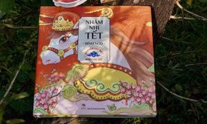 Nhâm nhi Tết Bính Ngọ - Gìn giữ nếp đọc sách ngày Xuân