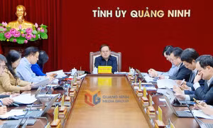 Giao ban Thường trực Tỉnh ủy