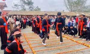 Sắc xuân nơi vùng cao