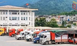 Xuất nhập khẩu qua lối thông quan Bắc Phong Sinh tăng trưởng mạnh đầu năm 2026