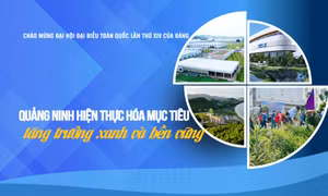 Quảng Ninh hiện thực hóa mục tiêu tăng trưởng xanh và bền vững