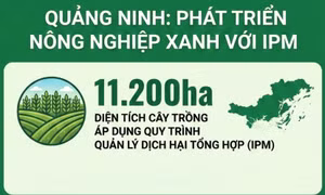 11.200ha - là diện tích cây trồng đã áp dụng quy trình quản lý dịch hại tổng hợp trên toàn tỉnh hiện nay