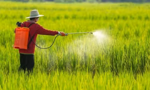 Quy định mới về điều kiện sản xuất, buôn bán thuốc bảo vệ thực vật