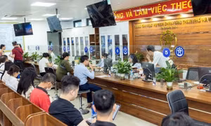 Khai thác hiệu quả cơ sở dữ liệu quốc gia
