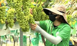 Ghi ở nơi nông thôn đổi mới 