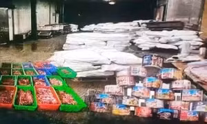 Công an Hải Phòng phát hiện vụ tập kết 120 tấn thịt lợn nhiễm dịch tả làm thịt hộp